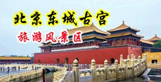 鸡巴太粗插深一点快不行了视频中国北京-东城古宫旅游风景区